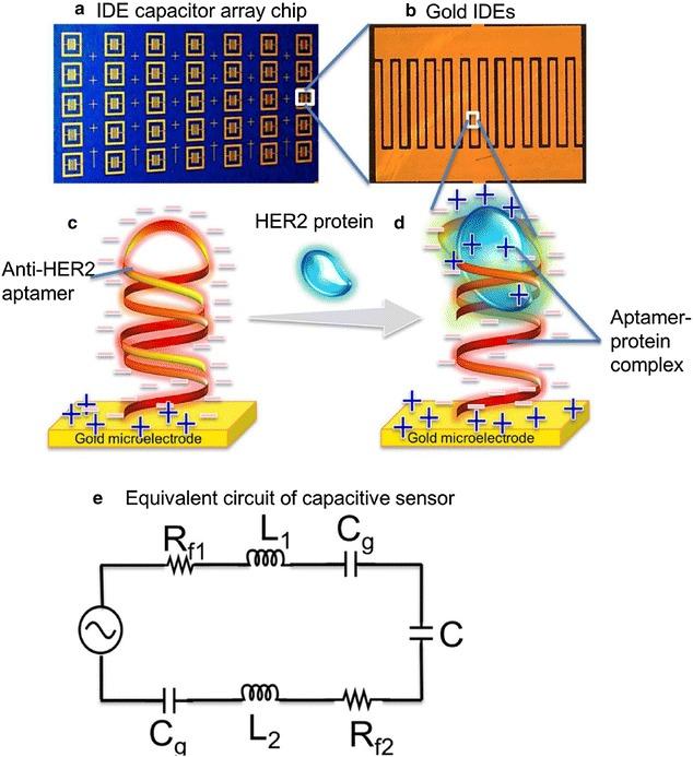 https://cdn.ncbi.nlm.nih.gov/pmc/blobs/0710/5683342/bf351292ce45/12951_2017_311_Fig7_HTML.jpg