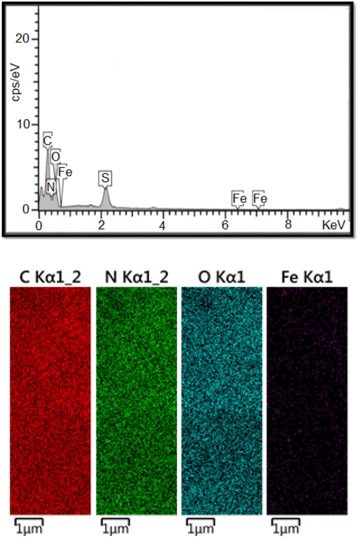 https://cdn.ncbi.nlm.nih.gov/pmc/blobs/0710/8660771/fb77736c53db/41598_2021_3226_Fig2_HTML.jpg