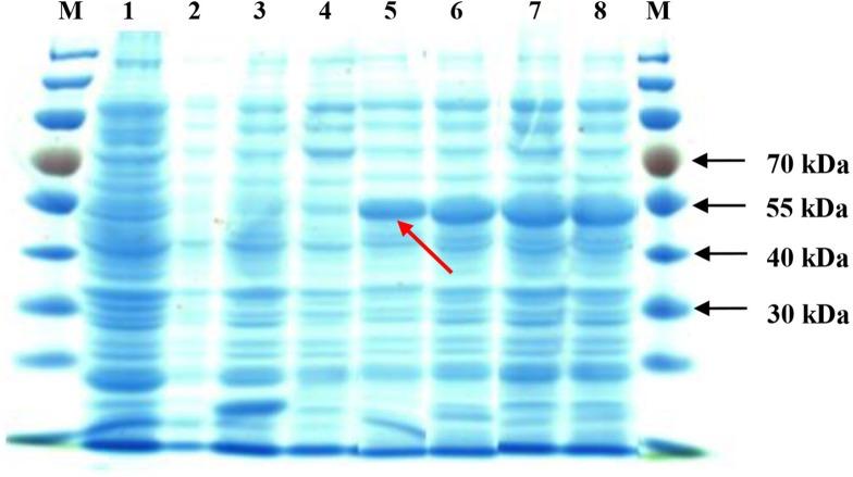 https://cdn.ncbi.nlm.nih.gov/pmc/blobs/0711/6215438/808341313bed/peerj-06-5873-g002.jpg