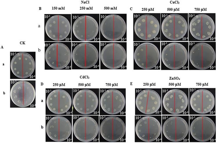 https://cdn.ncbi.nlm.nih.gov/pmc/blobs/0711/6215438/a4ed76478225/peerj-06-5873-g003.jpg