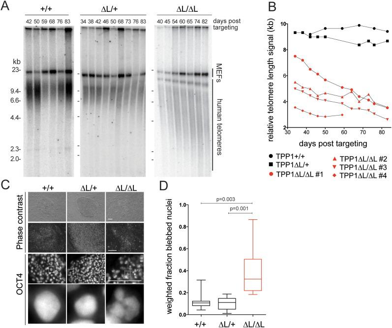 https://cdn.ncbi.nlm.nih.gov/pmc/blobs/0712/4197946/3f14972e3073/1885fig2.jpg
