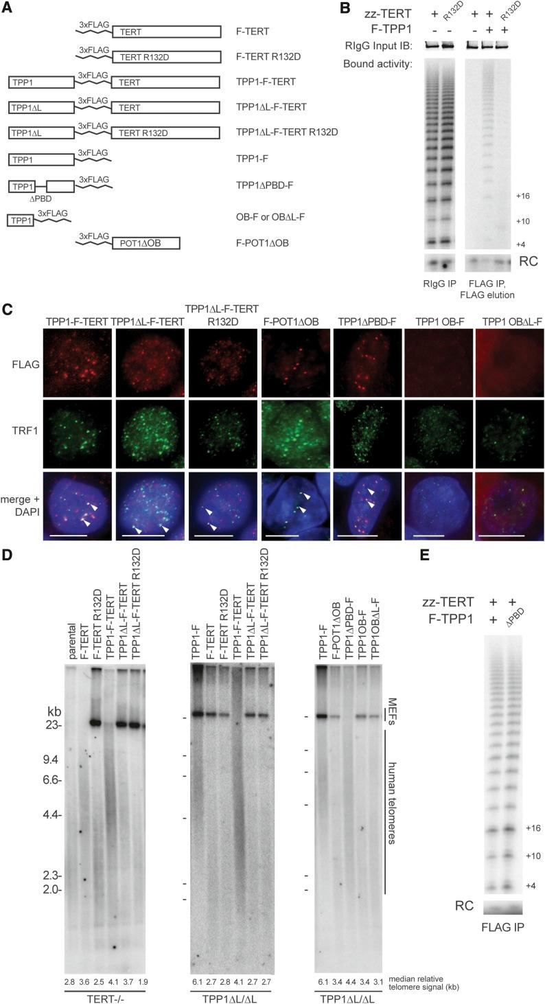 https://cdn.ncbi.nlm.nih.gov/pmc/blobs/0712/4197946/4ba6103568b2/1885fig5.jpg