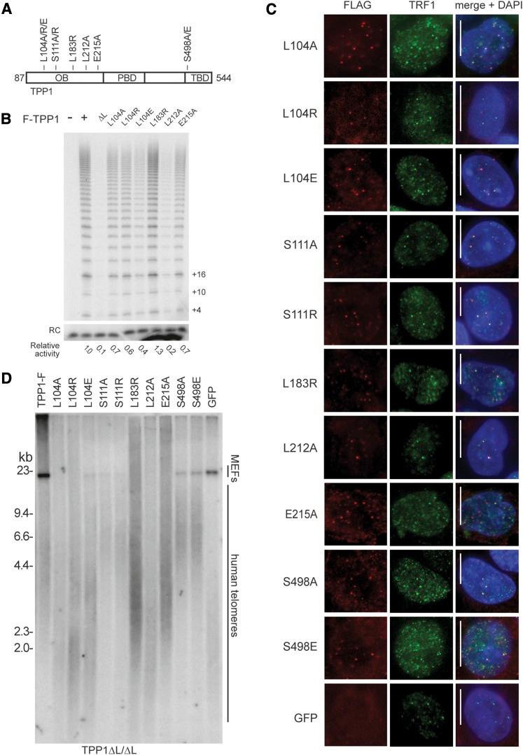 https://cdn.ncbi.nlm.nih.gov/pmc/blobs/0712/4197946/4f3babc5484d/1885fig6.jpg