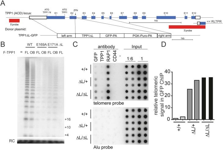 https://cdn.ncbi.nlm.nih.gov/pmc/blobs/0712/4197946/6f5fbc13ddcc/1885fig1.jpg