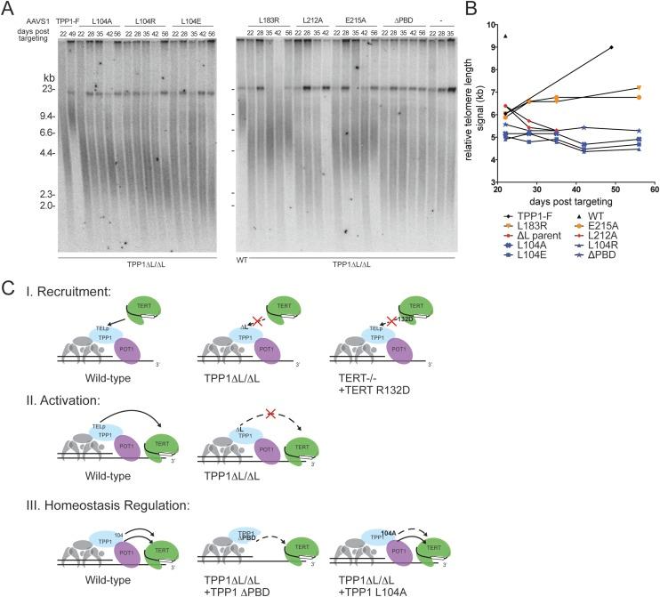 https://cdn.ncbi.nlm.nih.gov/pmc/blobs/0712/4197946/c33363321ea0/1885fig7.jpg