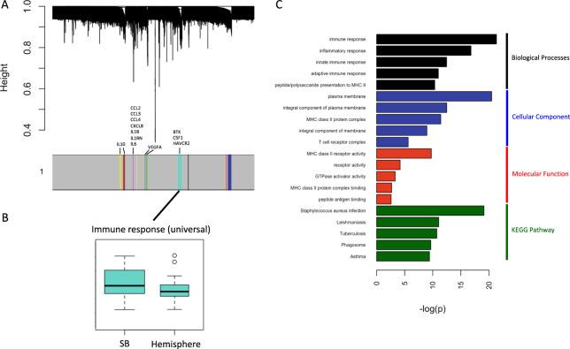 https://cdn.ncbi.nlm.nih.gov/pmc/blobs/0712/7270140/29ddf9aecb5c/41598_2020_65365_Fig1_HTML.jpg