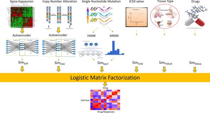 https://cdn.ncbi.nlm.nih.gov/pmc/blobs/0712/7844991/24b3f97484ab/12859_2021_3974_Fig1_HTML.jpg