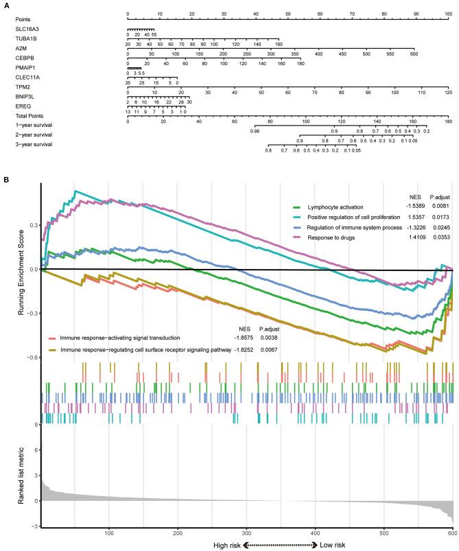 https://cdn.ncbi.nlm.nih.gov/pmc/blobs/0712/7890365/191d6ba732ff/fgene-11-615680-g0005.jpg