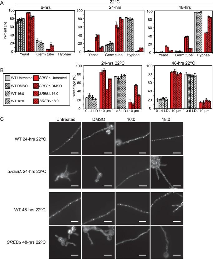 https://cdn.ncbi.nlm.nih.gov/pmc/blobs/0716/4482641/5637ecc55539/ppat.1004959.g008.jpg