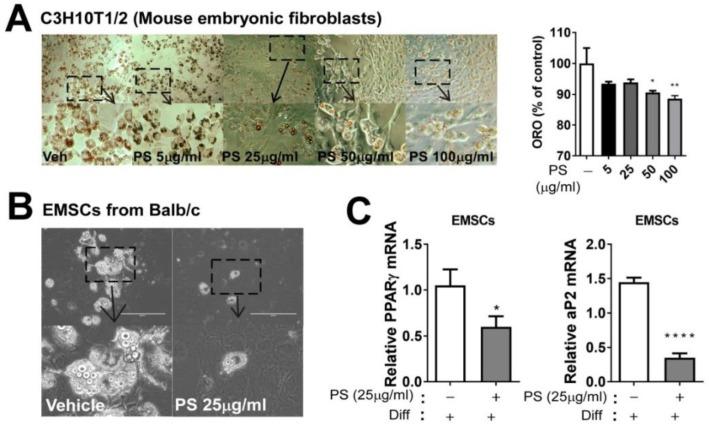https://cdn.ncbi.nlm.nih.gov/pmc/blobs/0716/6429123/168ffc1c8f71/ijms-20-01216-g003.jpg