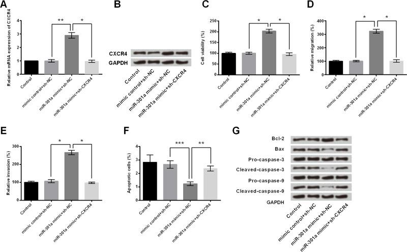 https://cdn.ncbi.nlm.nih.gov/pmc/blobs/0716/7848290/add77827fde9/OR-27-055-g006.jpg