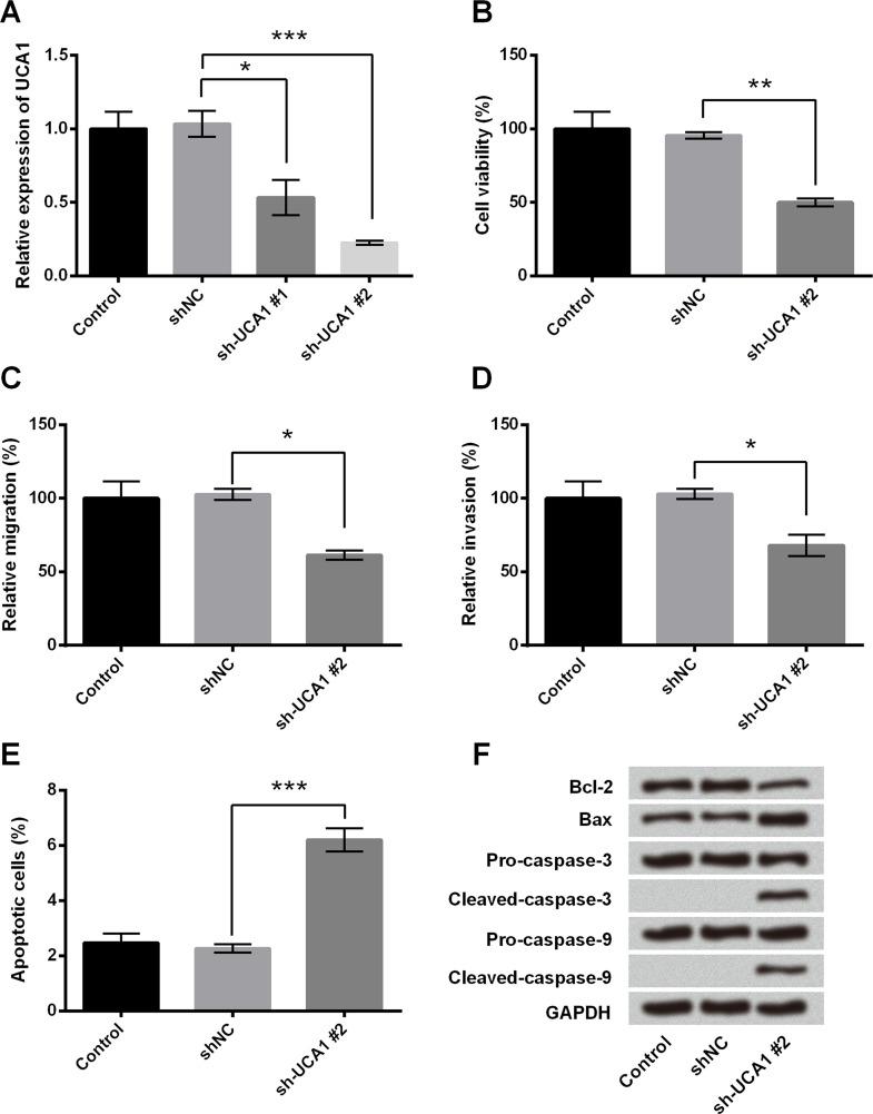 https://cdn.ncbi.nlm.nih.gov/pmc/blobs/0716/7848290/f174e137ce78/OR-27-055-g002.jpg