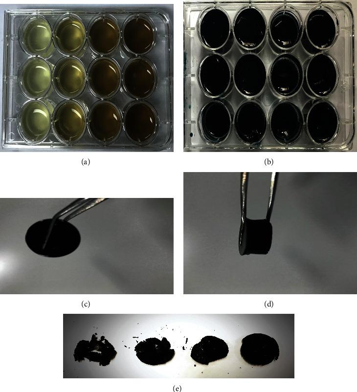 https://cdn.ncbi.nlm.nih.gov/pmc/blobs/0718/8154284/1808ee1e6142/SCI2021-5594370.001.jpg
