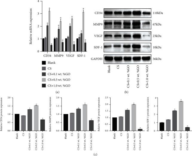 https://cdn.ncbi.nlm.nih.gov/pmc/blobs/0718/8154284/ef45e1c00c54/SCI2021-5594370.007.jpg
