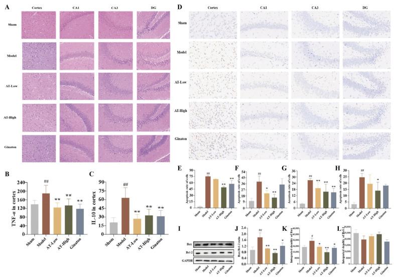 https://cdn.ncbi.nlm.nih.gov/pmc/blobs/071a/12387063/054f36e908fa/ijms-26-07979-g002.jpg