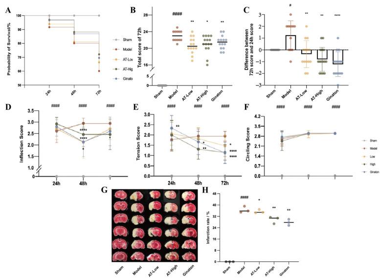 https://cdn.ncbi.nlm.nih.gov/pmc/blobs/071a/12387063/7417b6d17f48/ijms-26-07979-g001.jpg