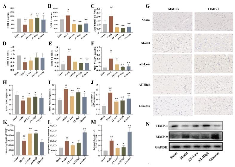https://cdn.ncbi.nlm.nih.gov/pmc/blobs/071a/12387063/b30409c77120/ijms-26-07979-g005.jpg