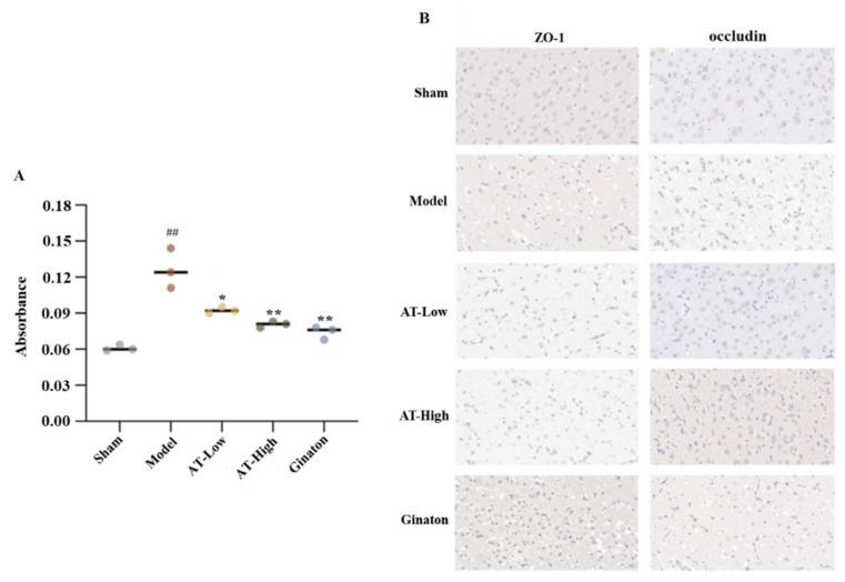 https://cdn.ncbi.nlm.nih.gov/pmc/blobs/071a/12387063/d6c4d72704d4/ijms-26-07979-g003.jpg
