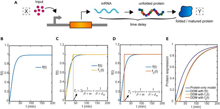 https://cdn.ncbi.nlm.nih.gov/pmc/blobs/071b/10879701/be97db6ca7cf/gr2.jpg