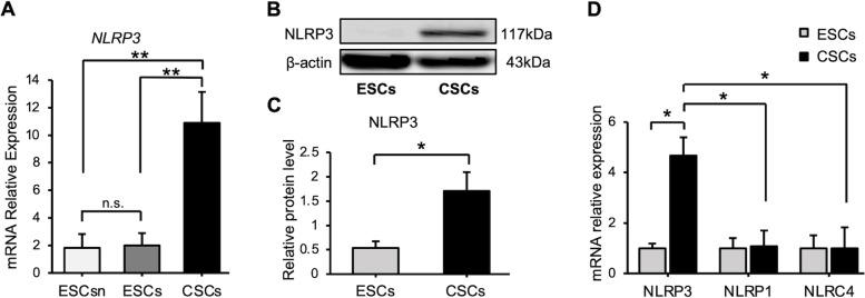 https://cdn.ncbi.nlm.nih.gov/pmc/blobs/071c/8966161/2468f78fc8b5/12958_2022_924_Fig2_HTML.jpg