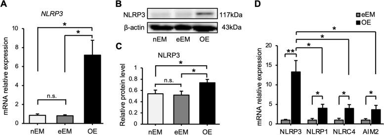 https://cdn.ncbi.nlm.nih.gov/pmc/blobs/071c/8966161/2c60d2971dc8/12958_2022_924_Fig1_HTML.jpg