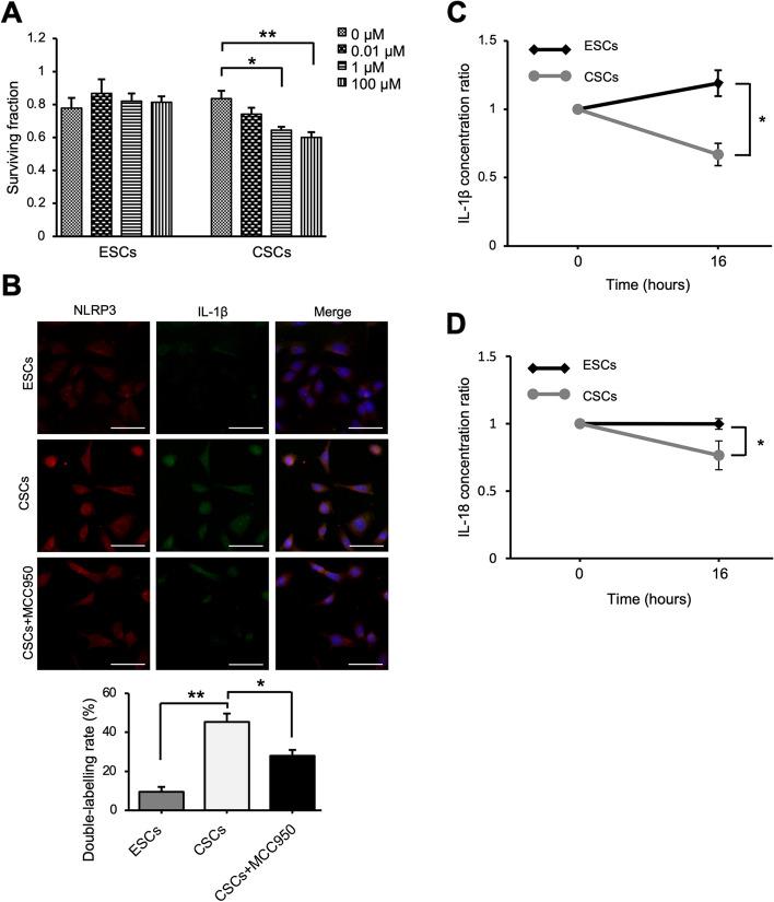 https://cdn.ncbi.nlm.nih.gov/pmc/blobs/071c/8966161/99c0dfe082ca/12958_2022_924_Fig3_HTML.jpg