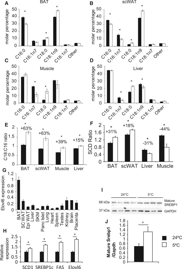 https://cdn.ncbi.nlm.nih.gov/pmc/blobs/071d/4688035/4a421b24a591/gr1.jpg