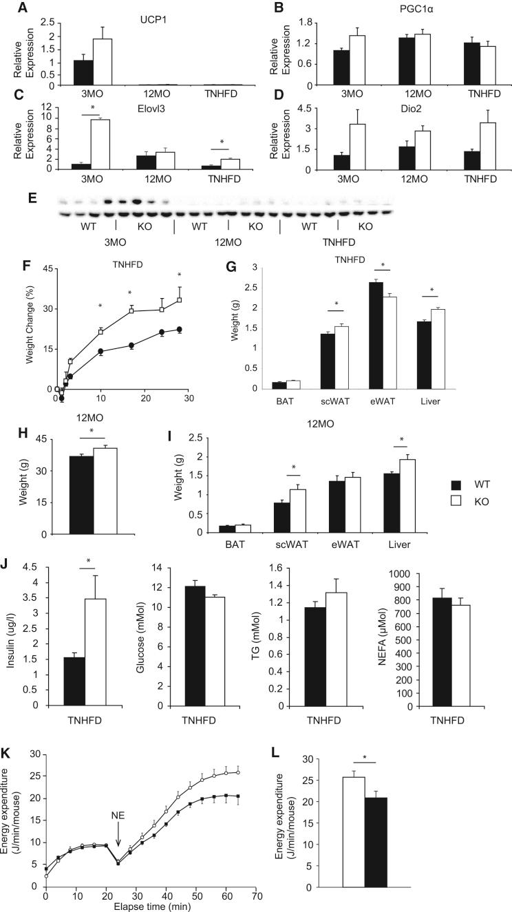 https://cdn.ncbi.nlm.nih.gov/pmc/blobs/071d/4688035/7fb0b8af2e08/gr4.jpg