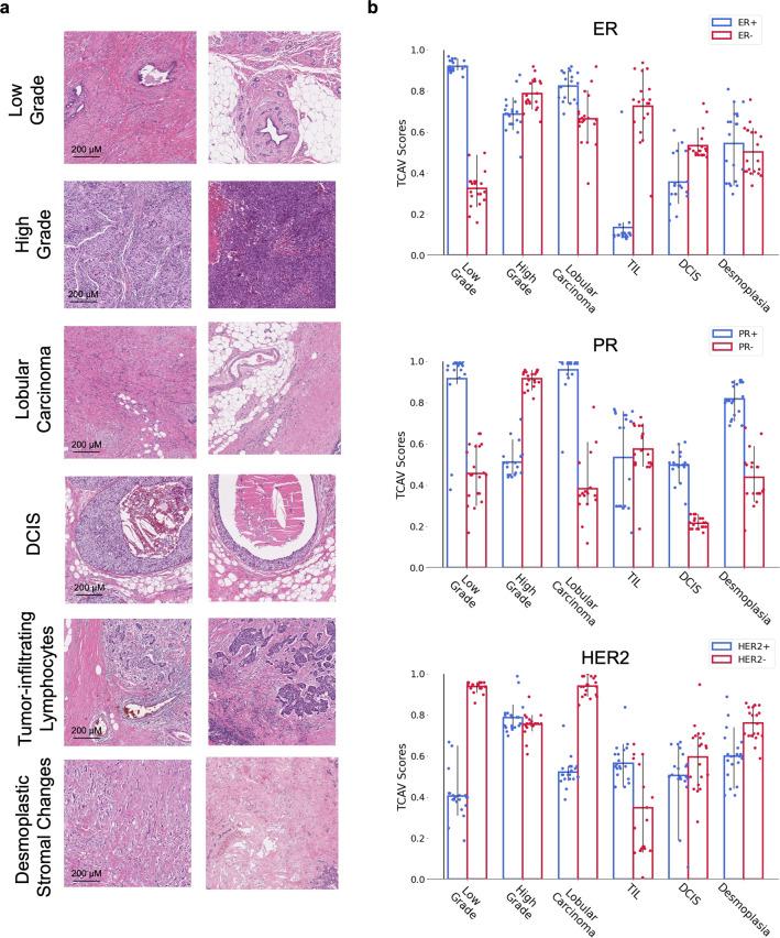 https://cdn.ncbi.nlm.nih.gov/pmc/blobs/071e/9037318/e8b44669252a/43856_2021_13_Fig4_HTML.jpg