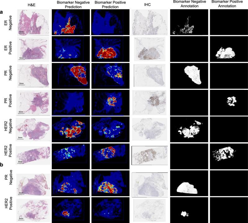 https://cdn.ncbi.nlm.nih.gov/pmc/blobs/071e/9037318/f3abafff03f8/43856_2021_13_Fig3_HTML.jpg