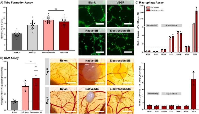https://cdn.ncbi.nlm.nih.gov/pmc/blobs/071f/11401211/feffc97c0bc3/gr8.jpg