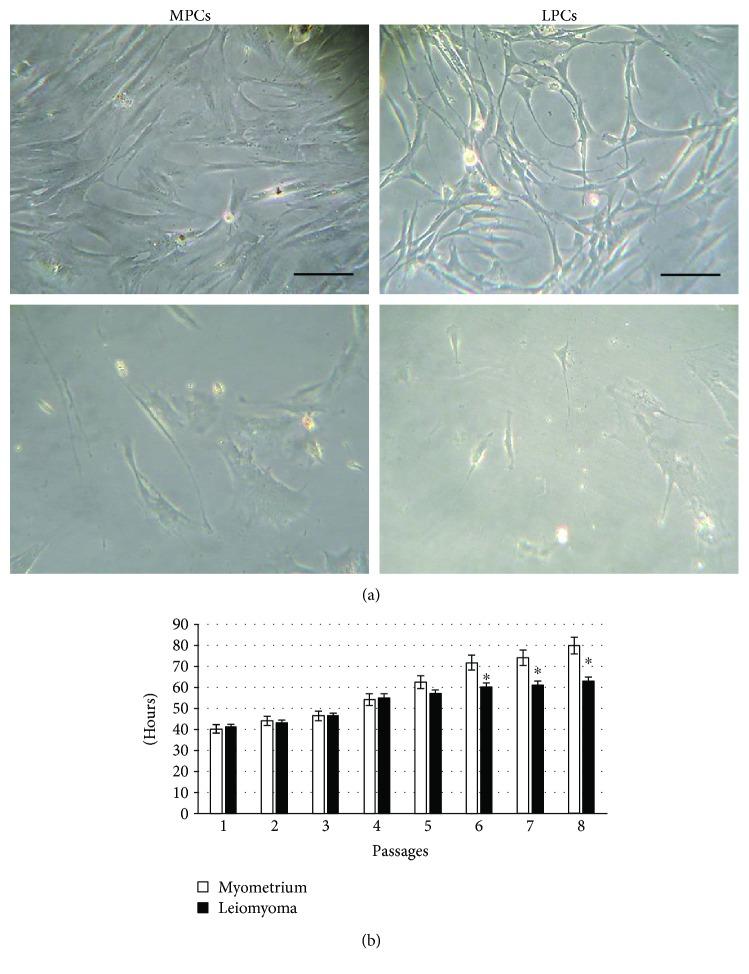 https://cdn.ncbi.nlm.nih.gov/pmc/blobs/071f/5971255/3b2dfbf8bc88/SCI2018-1716246.001.jpg