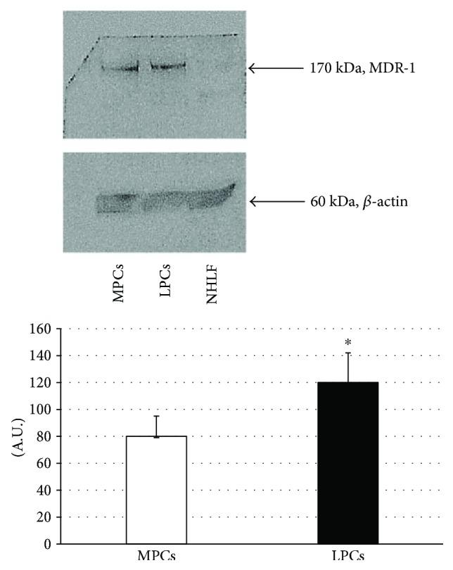 https://cdn.ncbi.nlm.nih.gov/pmc/blobs/071f/5971255/516568efe7bf/SCI2018-1716246.004.jpg