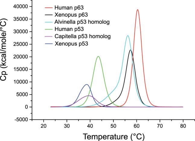 https://cdn.ncbi.nlm.nih.gov/pmc/blobs/071f/8901663/e4da7e2c3b15/41419_2022_4653_Fig4_HTML.jpg