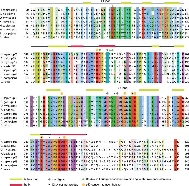 https://cdn.ncbi.nlm.nih.gov/pmc/blobs/071f/8901663/f3cd72973875/41419_2022_4653_Fig2_HTML.jpg
