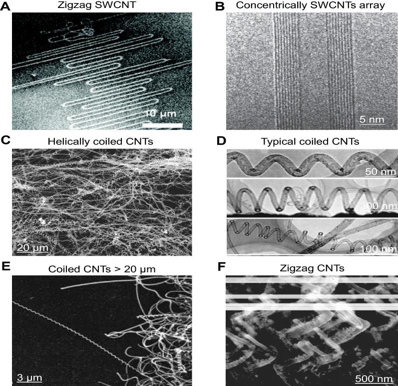 https://cdn.ncbi.nlm.nih.gov/pmc/blobs/071f/9195285/ac1260ea7ddb/12951_2022_1483_Fig1_HTML.jpg