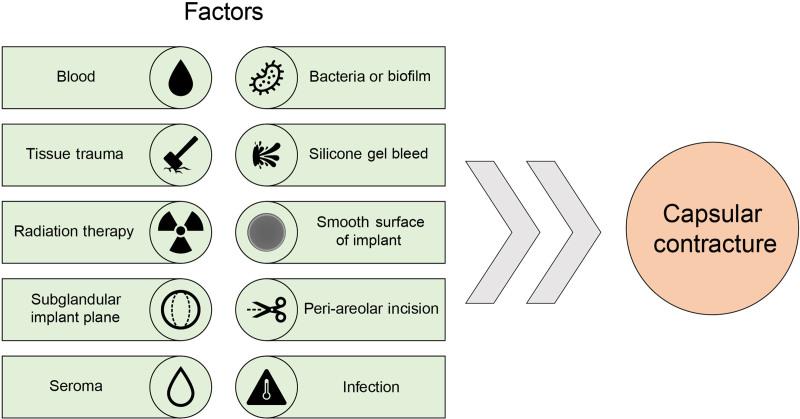https://cdn.ncbi.nlm.nih.gov/pmc/blobs/0720/11964387/f15196093e50/gox-13-e6671-g001.jpg