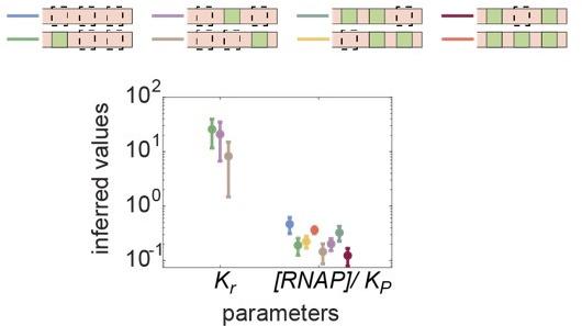 https://cdn.ncbi.nlm.nih.gov/pmc/blobs/0720/9836395/8cda5e1e3db5/elife-73395-sa2-fig1.jpg