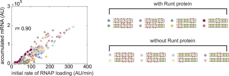 https://cdn.ncbi.nlm.nih.gov/pmc/blobs/0720/9836395/e8046534c609/elife-73395-fig3-figsupp8.jpg