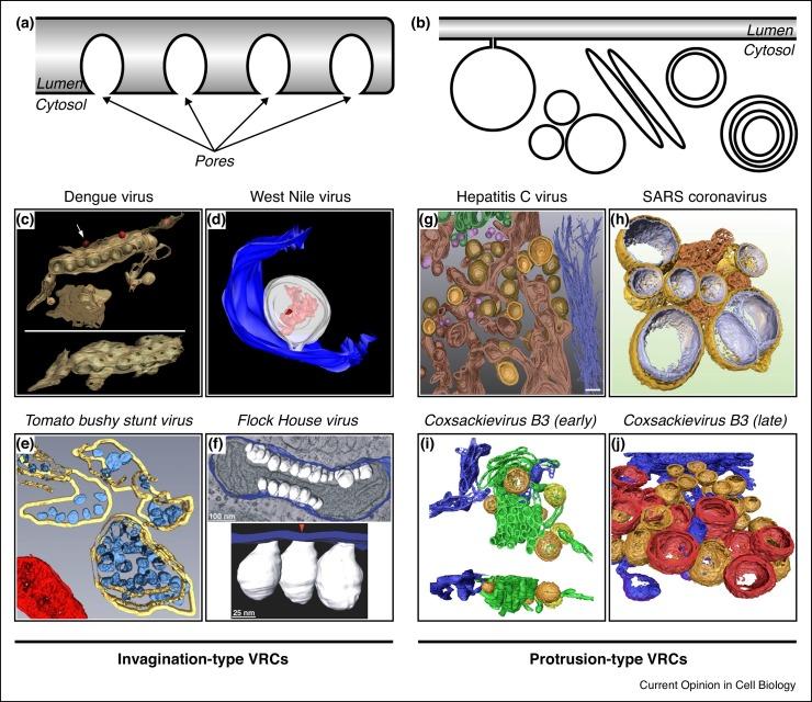 https://cdn.ncbi.nlm.nih.gov/pmc/blobs/0722/7127510/148a8e591706/gr1_lrg.jpg