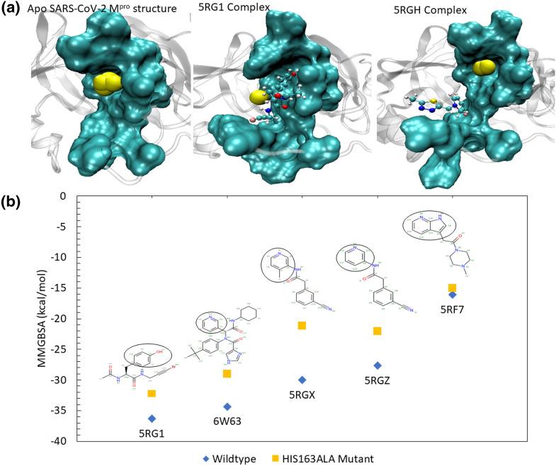 https://cdn.ncbi.nlm.nih.gov/pmc/blobs/0723/8016996/8db8ab43c820/41598_2021_86471_Fig8_HTML.jpg