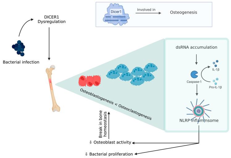 https://cdn.ncbi.nlm.nih.gov/pmc/blobs/0725/10377700/145d0f00a405/biomolecules-13-01032-g004.jpg