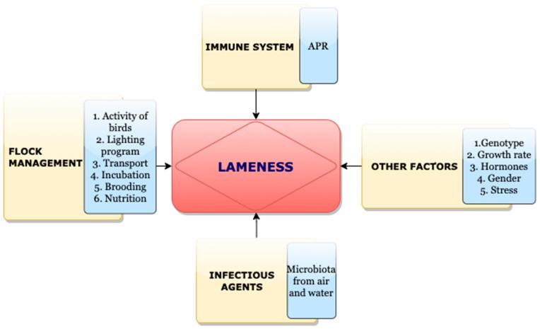 https://cdn.ncbi.nlm.nih.gov/pmc/blobs/0725/10377700/e65a5e5dab72/biomolecules-13-01032-g005.jpg