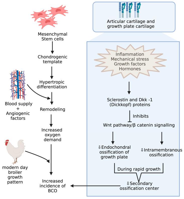 https://cdn.ncbi.nlm.nih.gov/pmc/blobs/0725/10377700/f4dbc61fd916/biomolecules-13-01032-g003.jpg