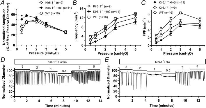 https://cdn.ncbi.nlm.nih.gov/pmc/blobs/0726/12075124/04d07d13010a/fphys-16-1558763-g006.jpg