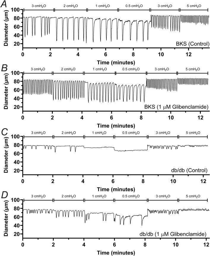 https://cdn.ncbi.nlm.nih.gov/pmc/blobs/0726/12075124/35c192b6ccf4/fphys-16-1558763-g002.jpg