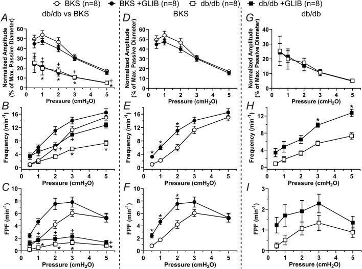 https://cdn.ncbi.nlm.nih.gov/pmc/blobs/0726/12075124/781eccbb4dbd/fphys-16-1558763-g003.jpg
