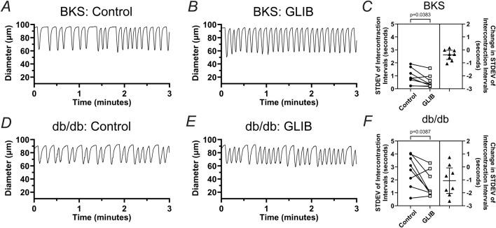 https://cdn.ncbi.nlm.nih.gov/pmc/blobs/0726/12075124/8c785b85490c/fphys-16-1558763-g004.jpg