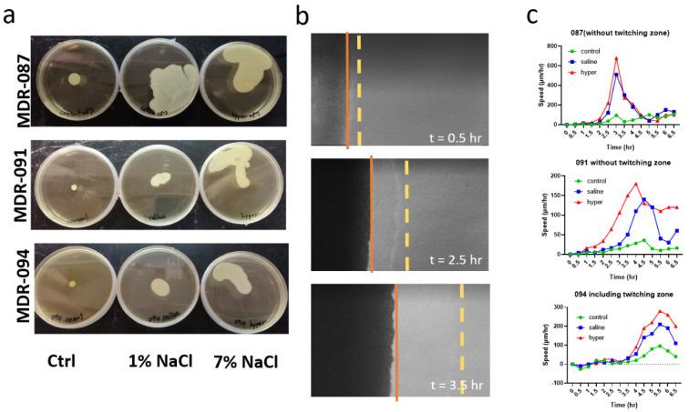 https://cdn.ncbi.nlm.nih.gov/pmc/blobs/0726/8465634/978b932c901e/antibiotics-10-01115-g003.jpg