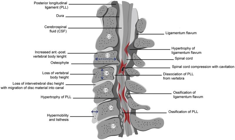https://cdn.ncbi.nlm.nih.gov/pmc/blobs/0728/12090262/b740aca512d6/YJMT_A_2465728_F0001_OC.jpg